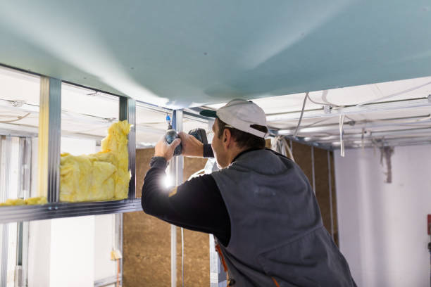 Best Attic Insulation Installation  in Faith, NC